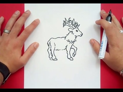 Como dibujar un ciervo paso a paso | How to draw a deer
