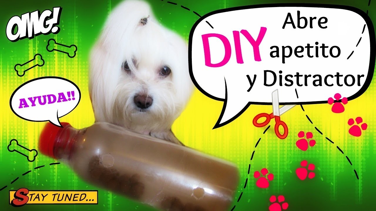 DIY Abre apetito y Distractor para perros, coton de tulear I Lorentix