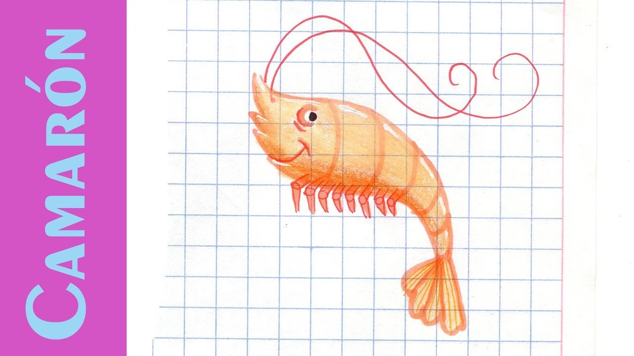 Como dibujar Un CAMARÓN GAMBA How to draw a Shrimp ANIMALES MARINOS Acuáticos Mar Tutorial ILUSTRA S