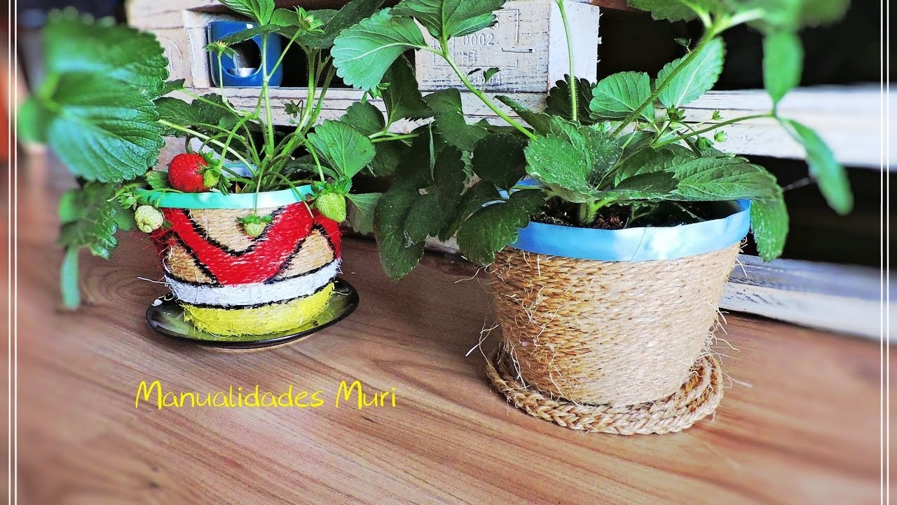 Decoración de Macetas, Ideas DIY Primavera ????