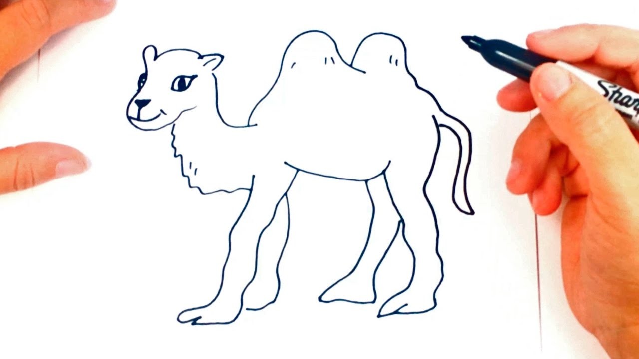Como dibujar un Camello | Dibujo de Camello paso a paso