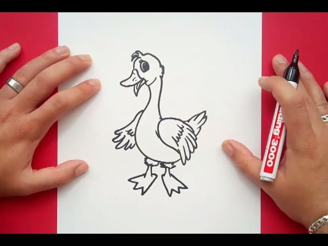 Como dibujar un pato paso a paso 10 | How to draw a duck 10