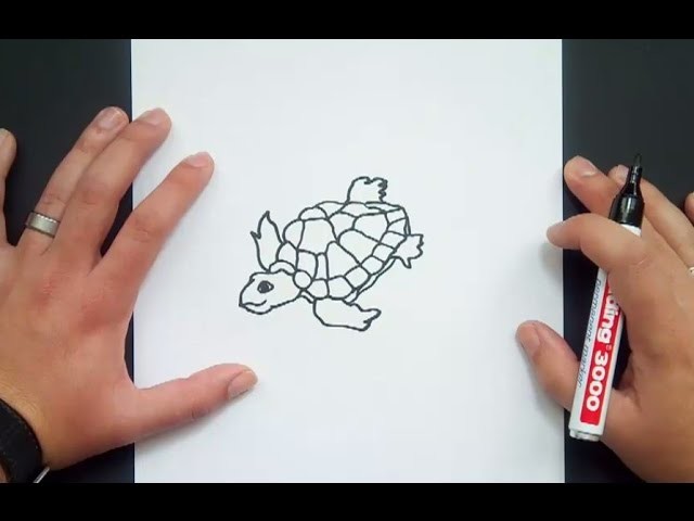Como dibujar una tortuga paso a paso 6 | How to draw a tortoise 6