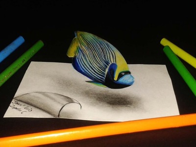 Como dibujo (ilusión optica) un Pez Angel Emperador  | An anamorphic drawing fish ????