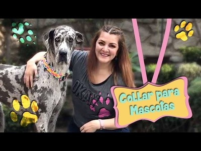 Collar para mascota con Playeras Viejas :: Chuladas Creativas Pet Lovers DIY
