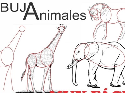 Como dibujar fácil animales #1, cerdo, caballo, perro, jirafa, elefante