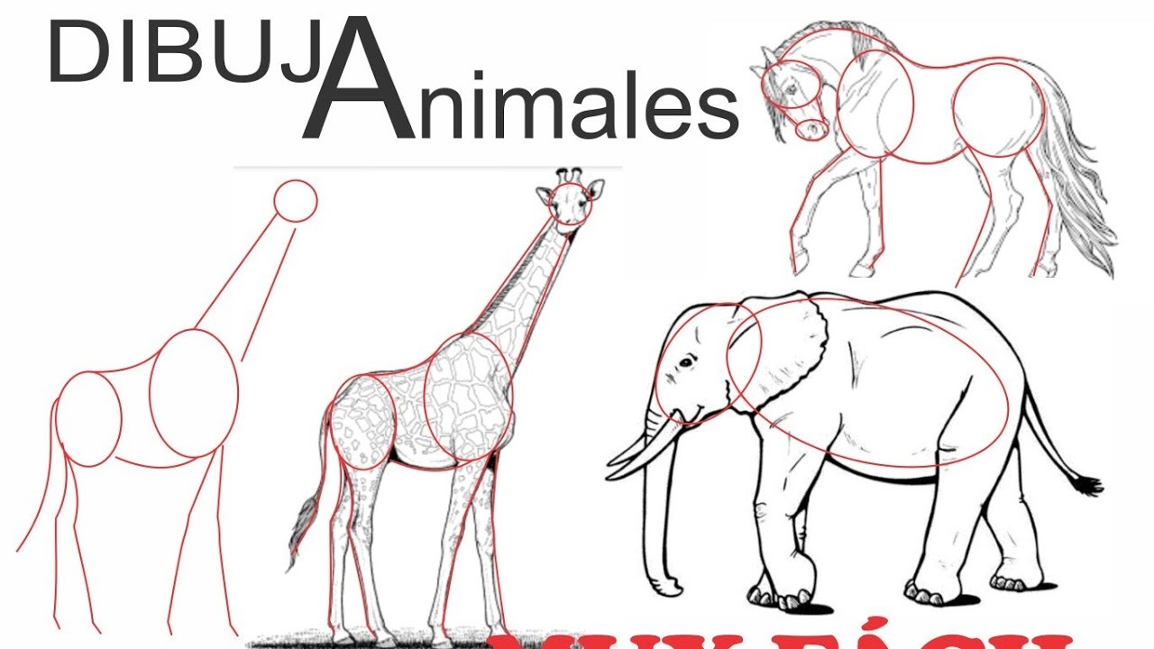 Como dibujar fácil animales #1, cerdo, caballo, perro, jirafa, elefante