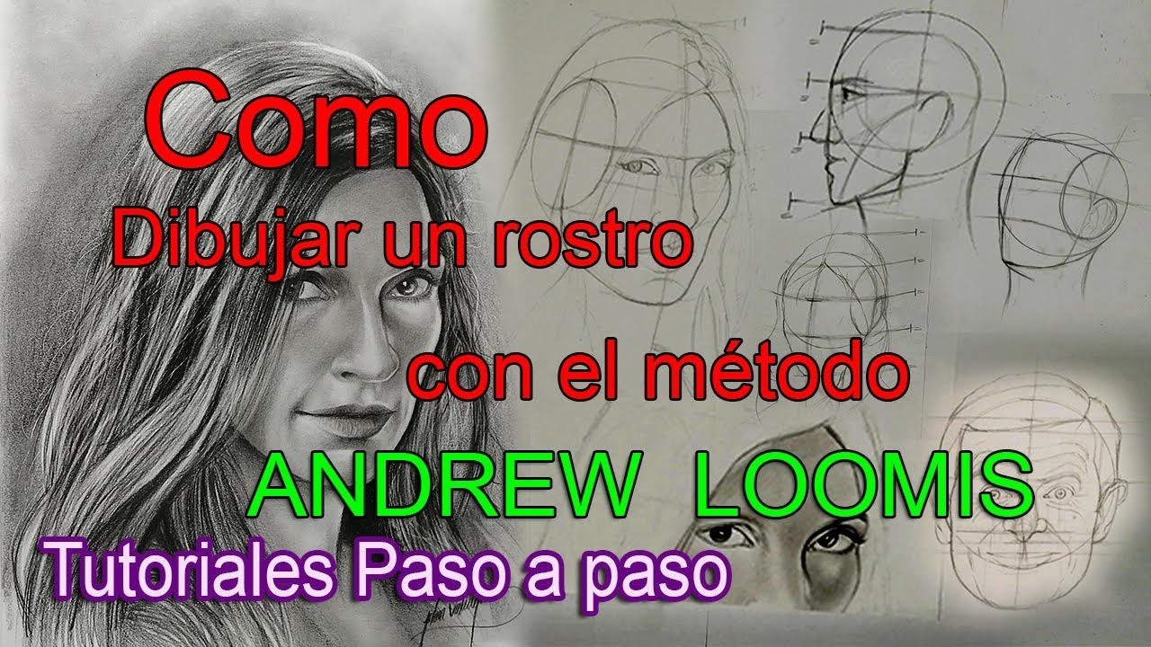 Como dibujar rostros con el método Andrew Loomis paso a paso