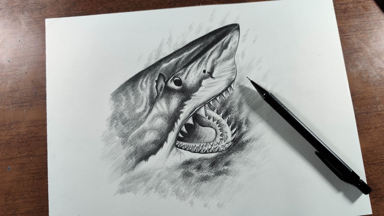 Cómo Dibujar un Tiburón Blanco a Lápiz Paso a Paso - (Muy Fácil)