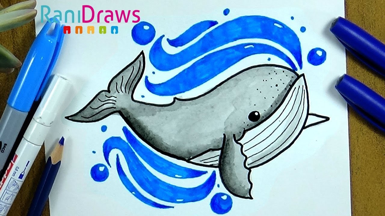 Cómo dibujar una BALLENA - Paso a paso