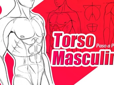 COMO DIBUJAR TORSO MASCULINO | tutorial de dibujo de anatomía Guz Artema