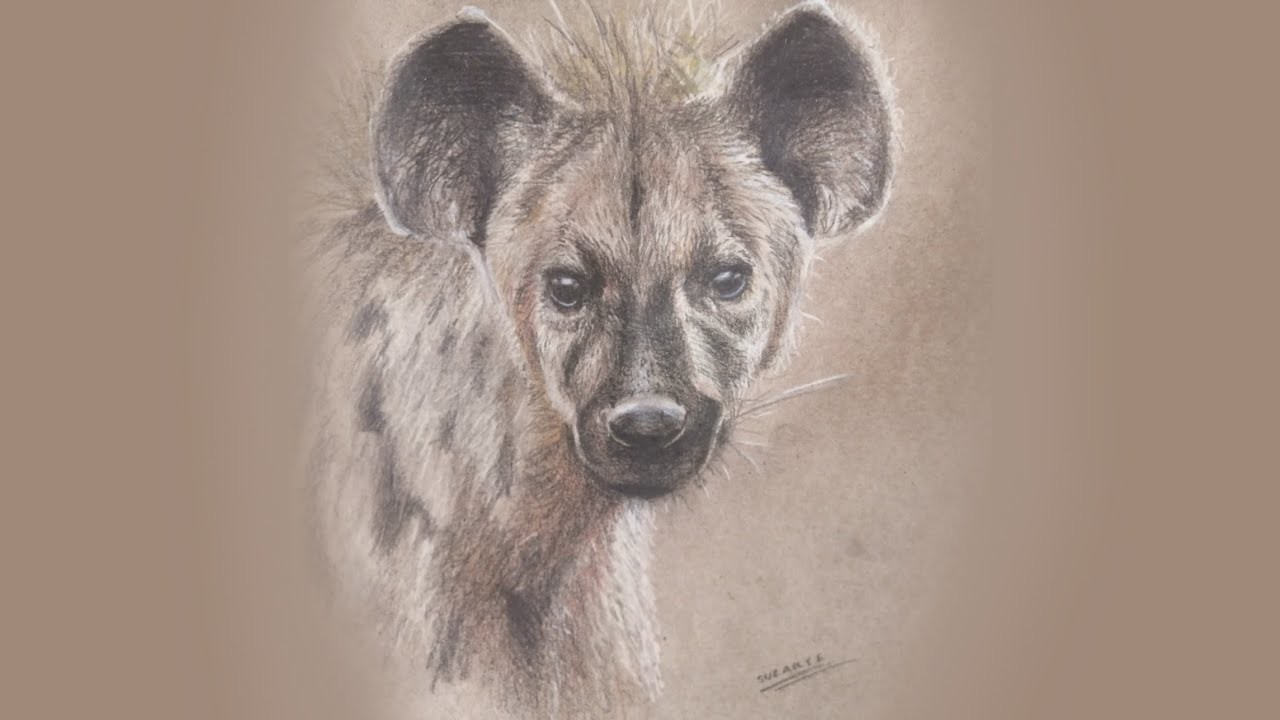 ???? Cómo dibujar una hiena (efecto pelaje) | André Suzarte