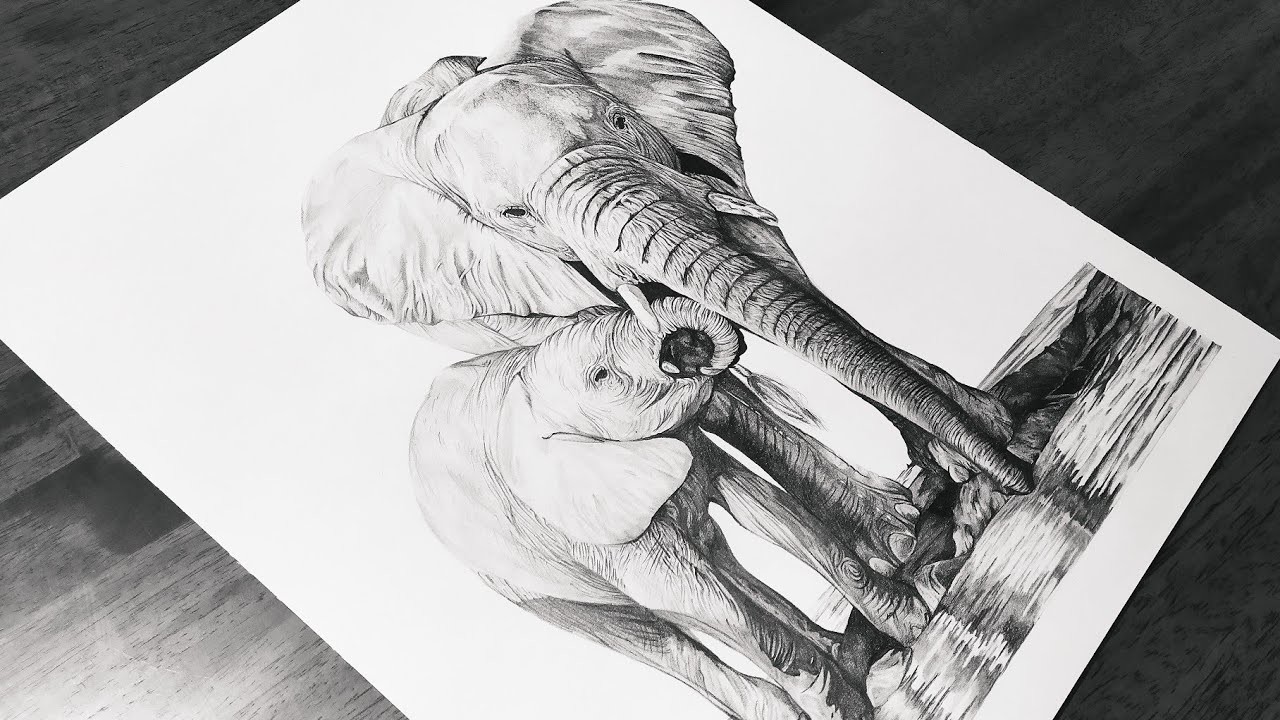 ???? Dibujo de ELEFANTE realista | Cámara rápida | Speed Drawing | Drawing a Elephant ????