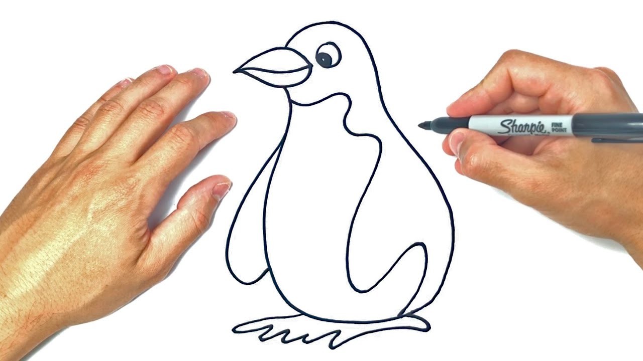 Cómo dibujar un Pinguino | Dibujo de Pinguino