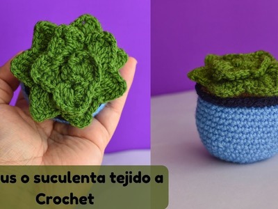 ????Como tejer cactus o suculenta en Crochet????.How to knit cactus or succulent in Crochet