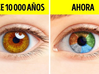 Las personas solían tener solo un color de ojos