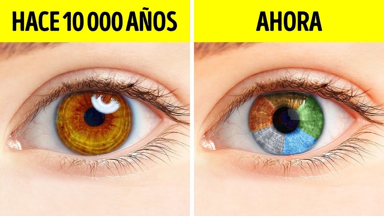 Las personas solían tener solo un color de ojos