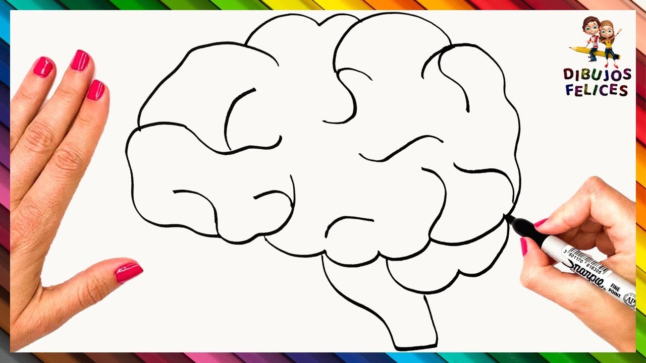 Cómo Dibujar El Cerebro Humano Paso A Paso ???? Dibujo Fácil De El Cerebro Humano