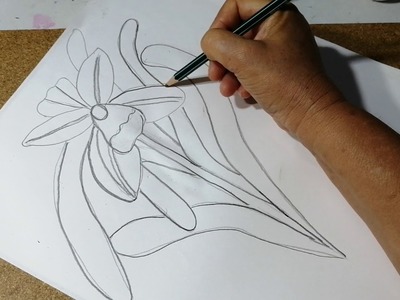 Cómo dibujar orquídeas sencillas fácilmente Sonia R.A.