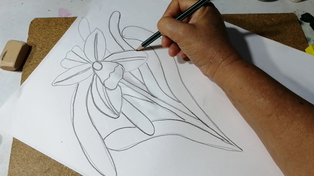 Cómo dibujar orquídeas sencillas fácilmente Sonia R.A.