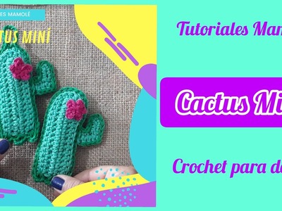 Crochet para decorar:  Cactus Miní con florcita