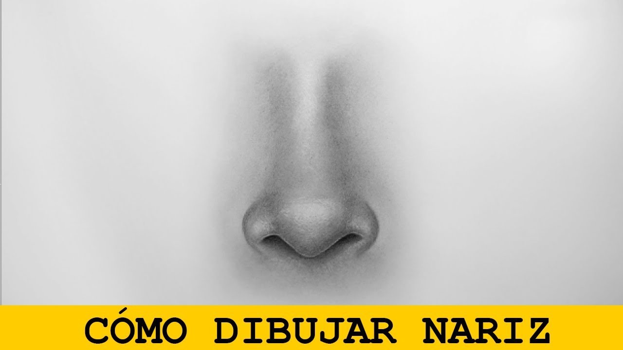 Cómo dibujar una nariz realista de frente (paso a paso)