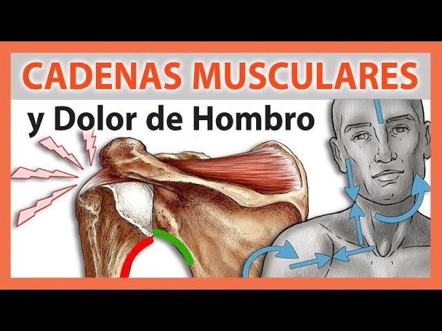 ????DOLOR de HOMBRO ???? CAUSA Tendinitis del Hombro o SUPRAESPINOSO - Cadenas Musculares ????TE SORPRENDERÁ!