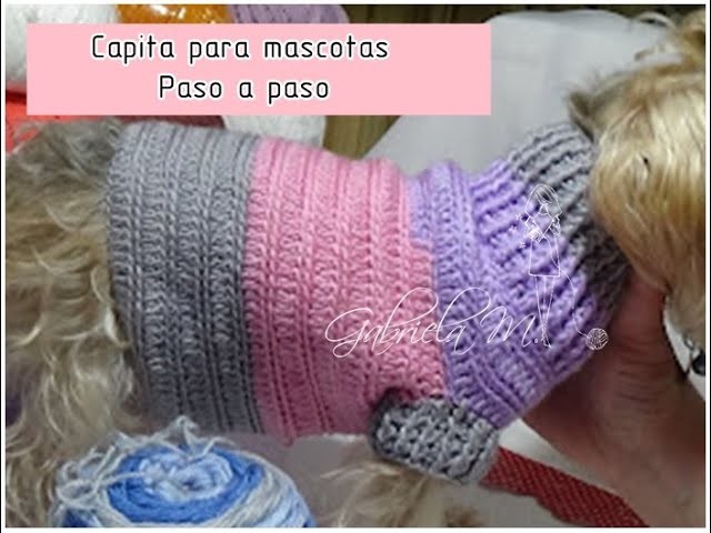 Capita para mascotas en crochet paso a paso #CualquierTamaño