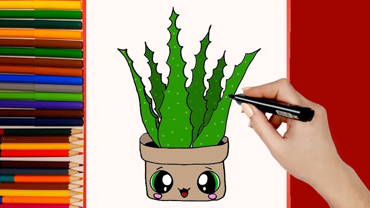 Cómo dibujar Aloe Vera. Dibujos kawaii faciles paso a paso #2