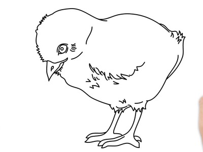 Cómo dibujar un pollito