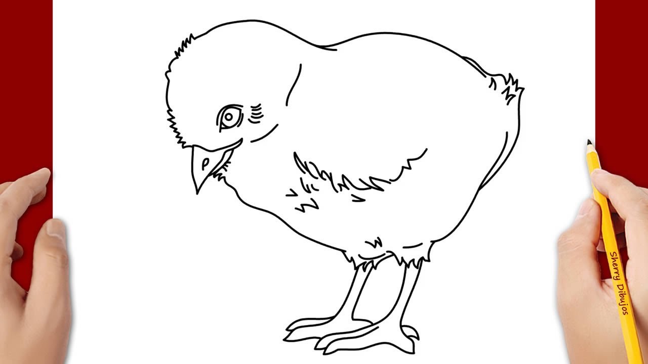 Cómo dibujar un pollito