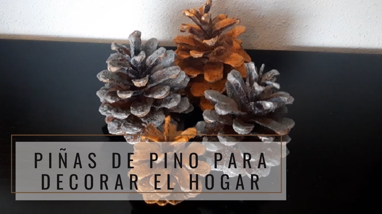 PIÑAS DE PINO PARA DECORAR EL HOGAR. DIY NATURAL FÁCIL