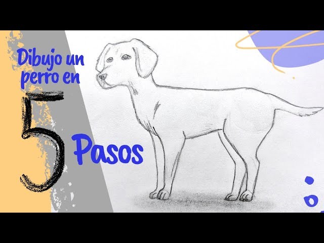 Cómo dibujar un perro.how to draw a dog.step by step.paso a paso