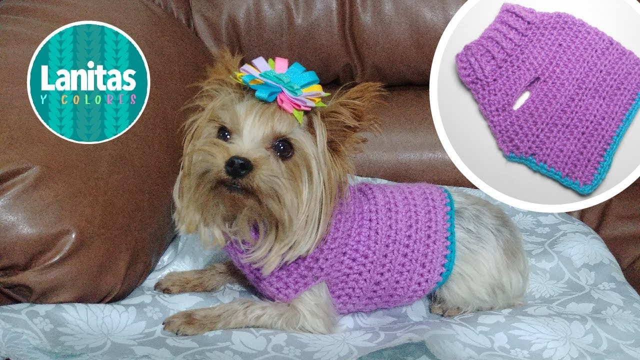 Sueter o Jersey para mascotas tejido a CROCHET | easy crochet dog sweater pattern Lanitas y Colores