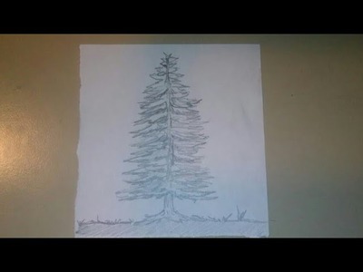 Cómo dibujar un pino con lápiz sencillo