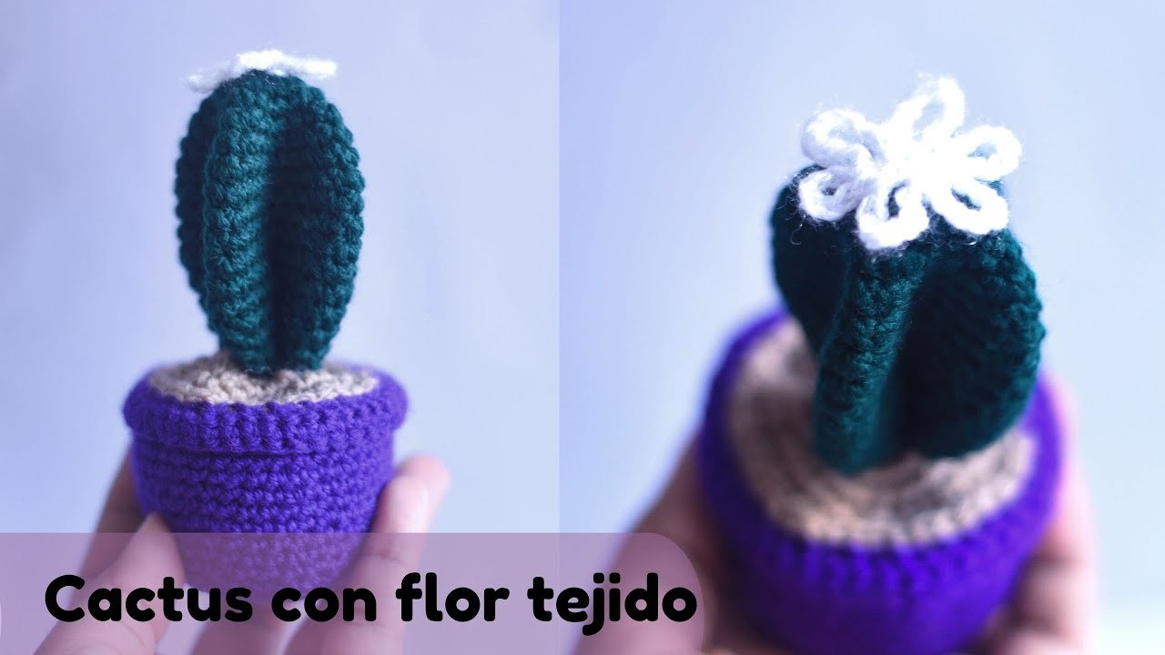 ????Cactus con flor tejido a Crochet????.Cactus with crochet-woven flower