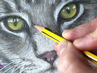 Cómo dibujar un gato a lápiz con un toque de color acrílico-paso a paso