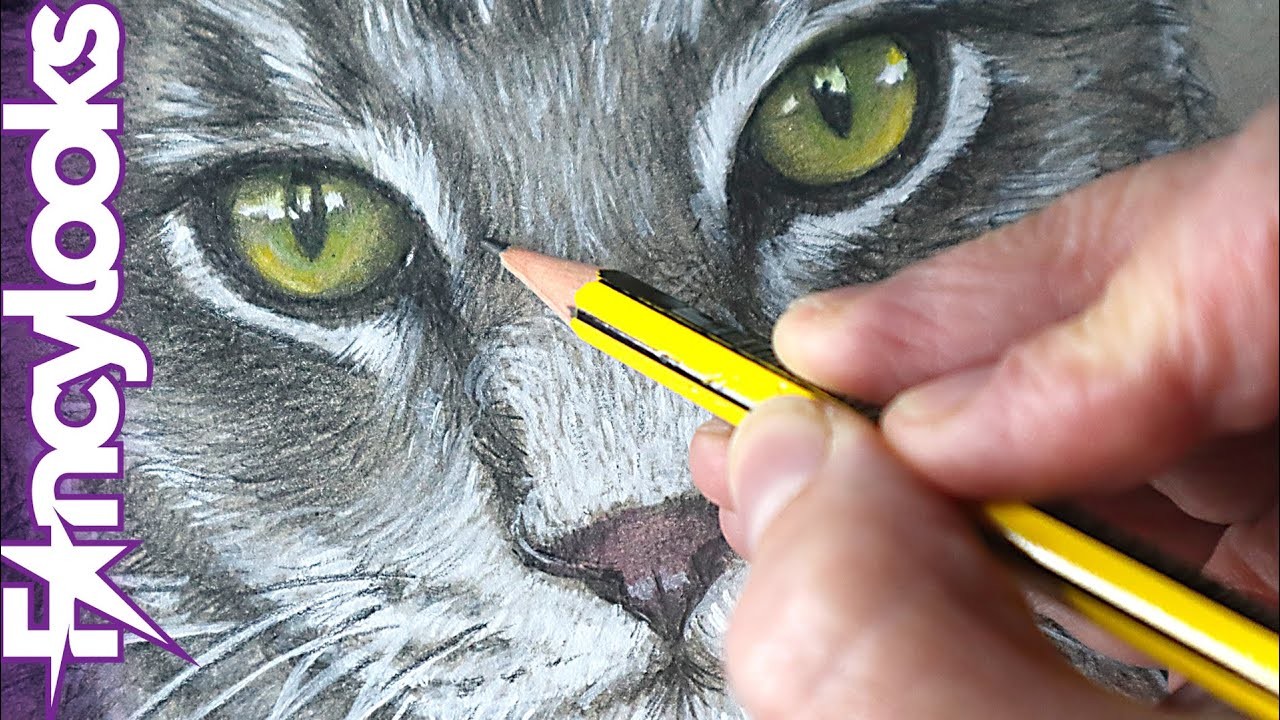 Cómo dibujar un gato a lápiz con un toque de color acrílico-paso a paso