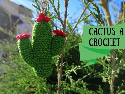 Bonito cactus a crochet.????????