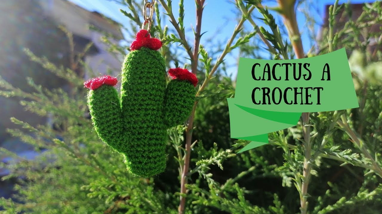 Bonito cactus a crochet.????????