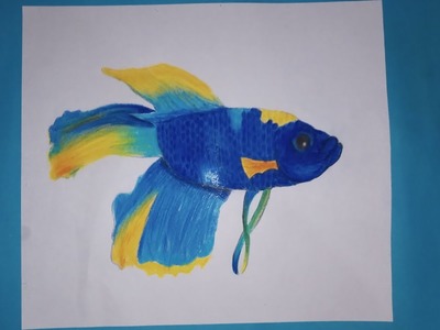 Dibujo de un pez betta (????) dibujo facil y colorido