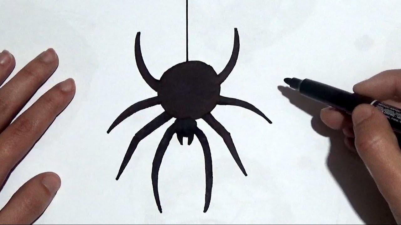 Como dibujar una araña fácil y paso a paso - Dibujo de una araña