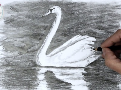 Aprende Como Dibujar un Cisne con Lápiz Muy Facil y Paso a Paso