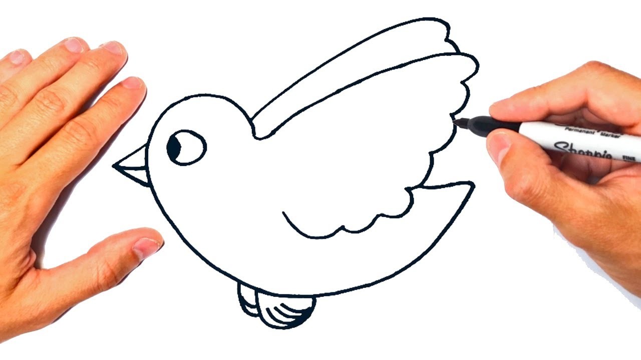Cómo dibujar un Pájaro Fácil | Dibujo de Pájaro