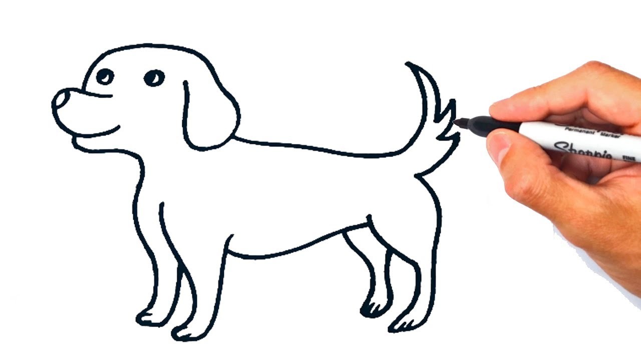 Cómo dibujar un Perro Muy Fácil | Dibujo de Perro