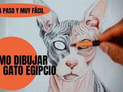 Como Dibujar Un Gato Egipcio Realista Paso a Paso Muy Fácil