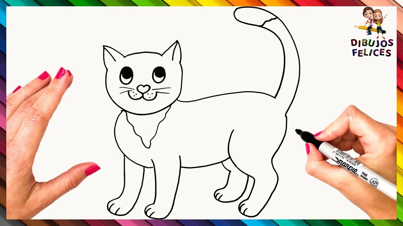 Cómo Dibujar Un Gato Paso A Paso ???? Dibujo De Gato