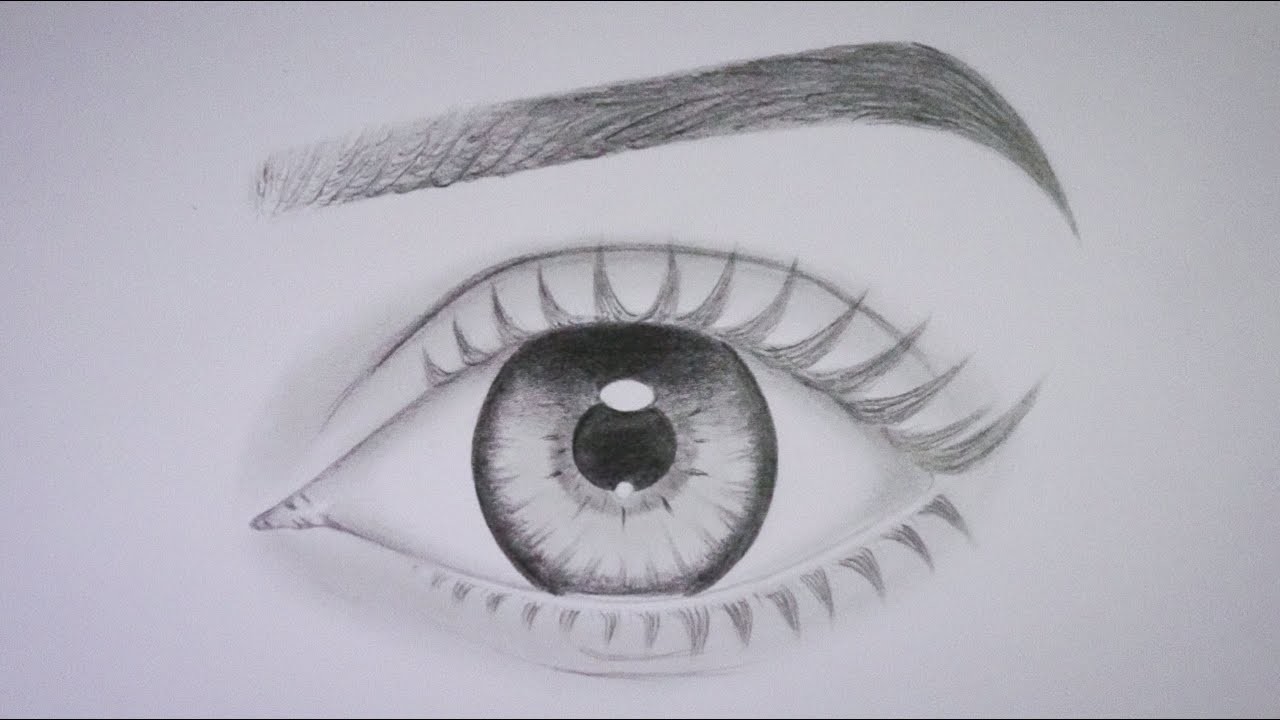 Cómo dibujar un ojo realista y cejas Paso a Paso | How to draw a realistic eye