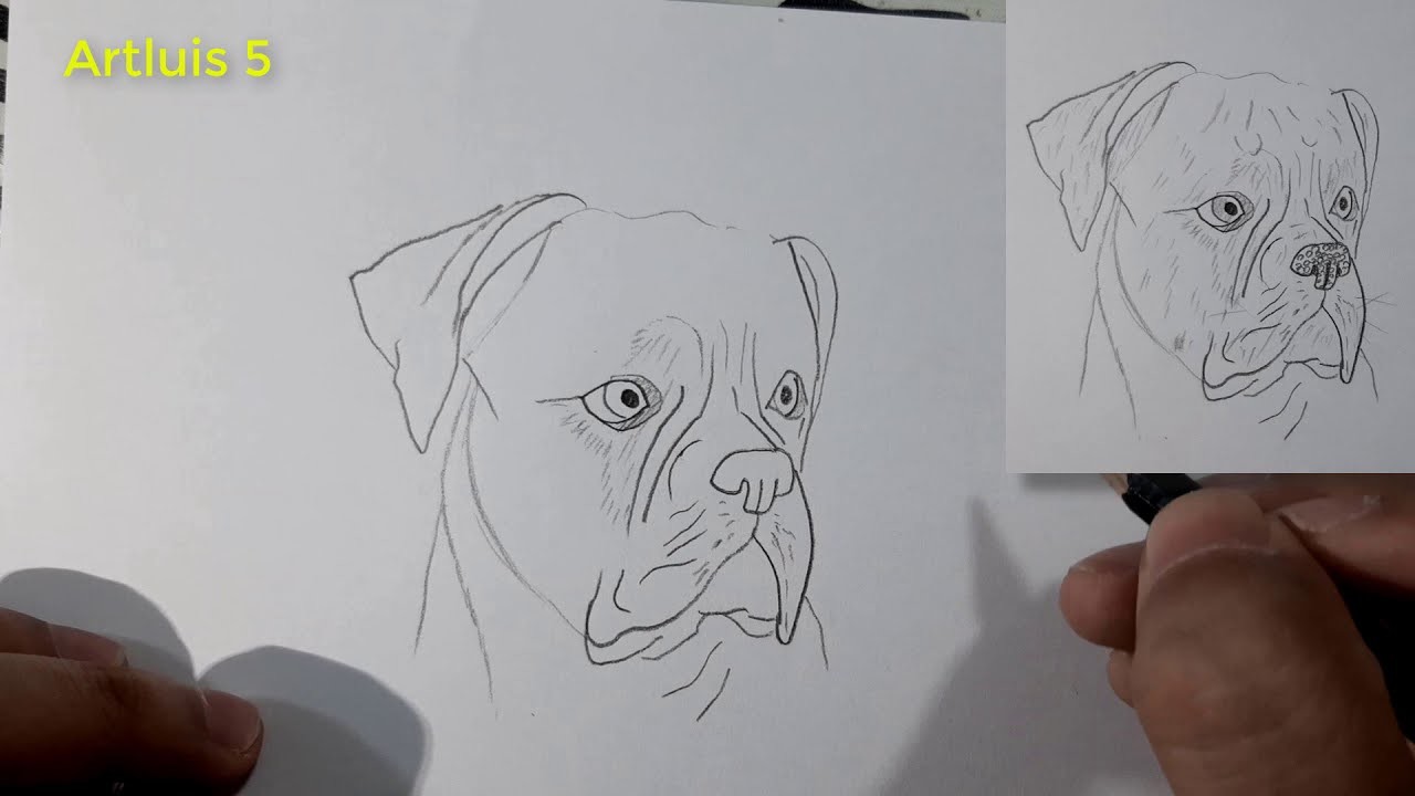 ¿Cómo dibujar un perro BÓXER? | How to draw a Boxer dog?