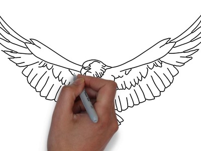Como Dibujar una Águila Paso a Paso Facil para Niños Video Tutorial
